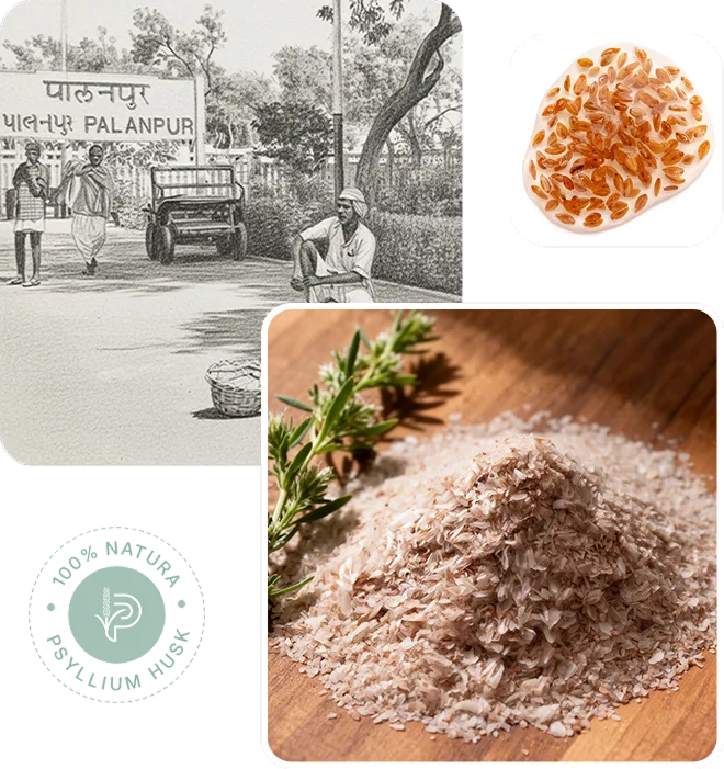 Prime Psyllium