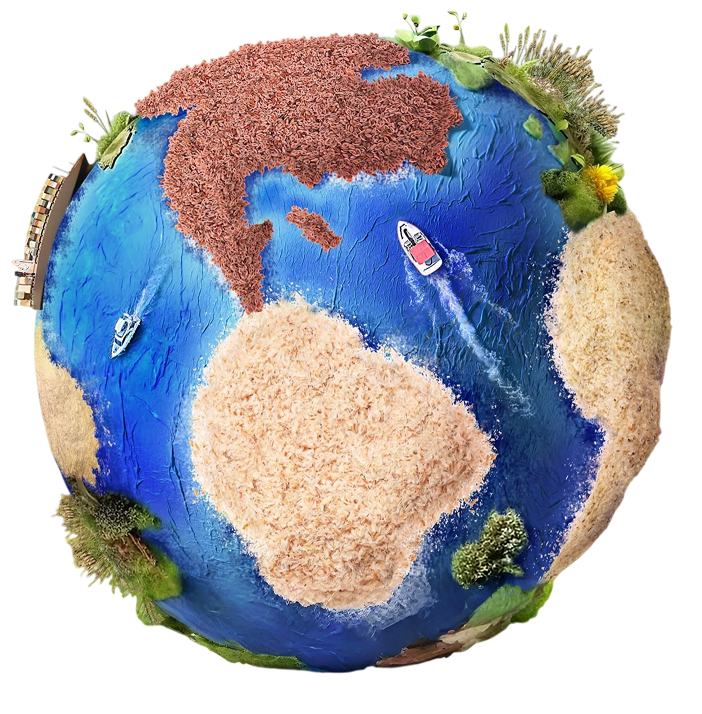 Prime Psyllium global presence