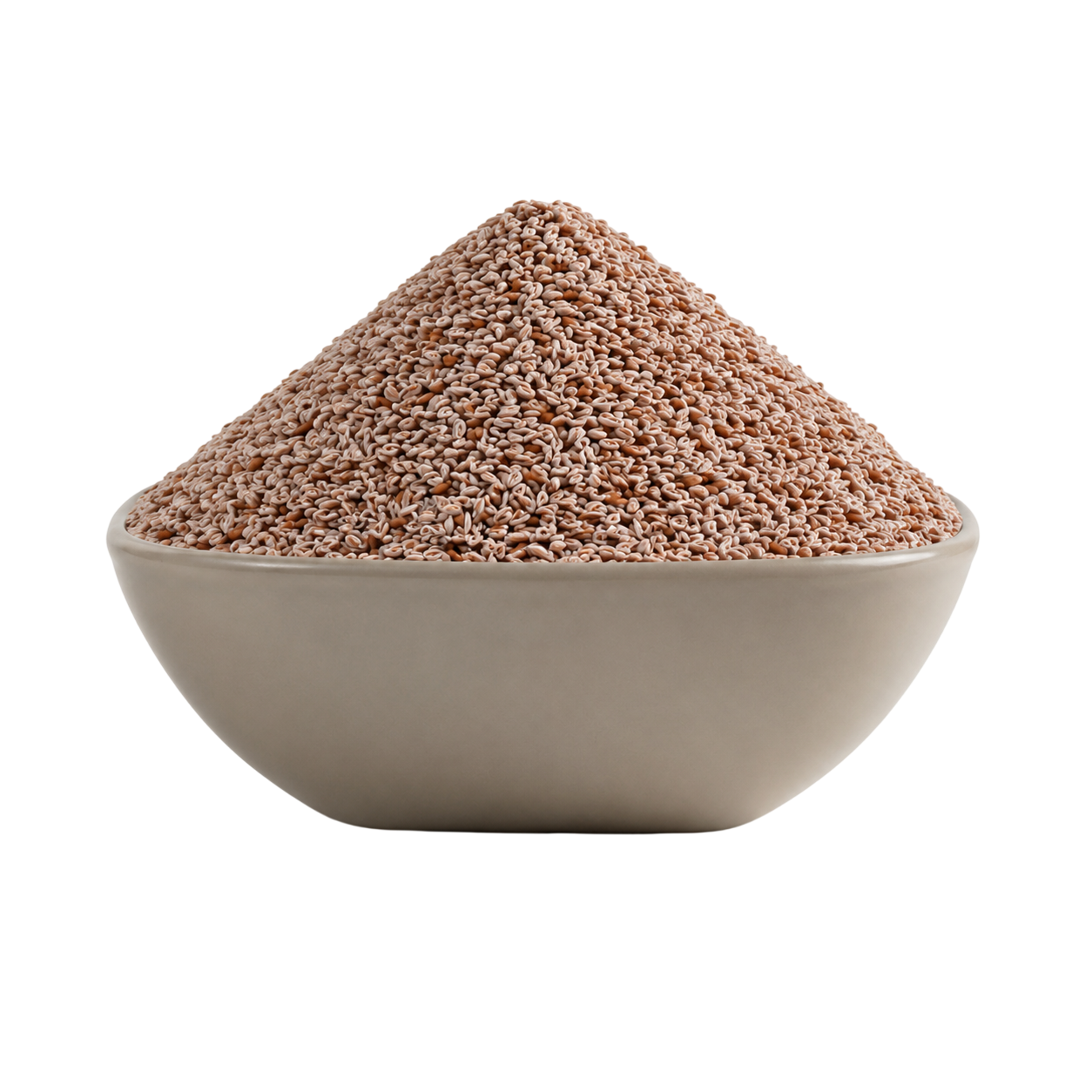 Psyllium Seed