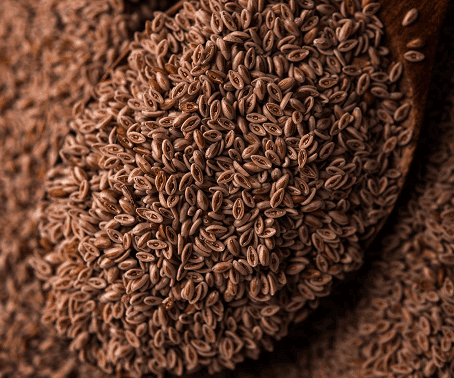 Psyllium Seed
