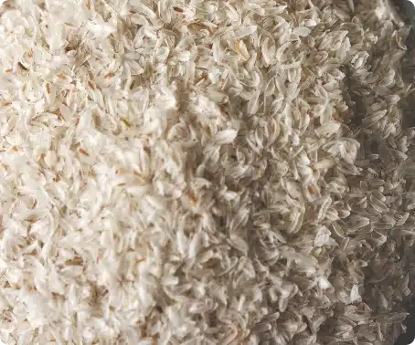 Psyllium Husk