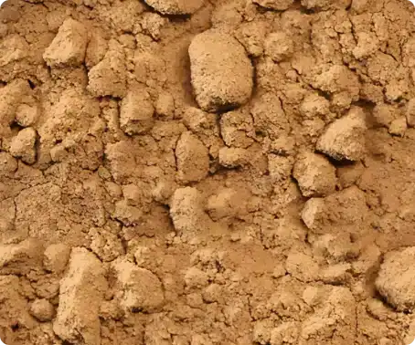 Psyllium Seed Powder