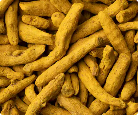 Turmeric Whole (Roots)