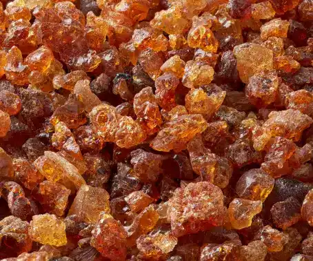 Gum Arabic